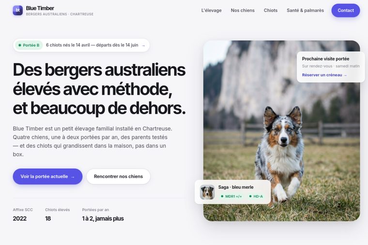 Site d’élevage de Berger Australien, modèle moderne : Le moderne premium, par OWAG