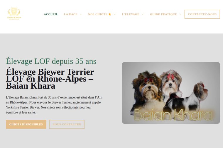 Site d’élevage de Biewer Terrier : Baïan Khara, par OWAG