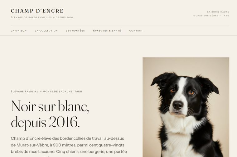 Site d’élevage de Border Collie, modèle éditorial : L’éditorial sensible, par OWAG