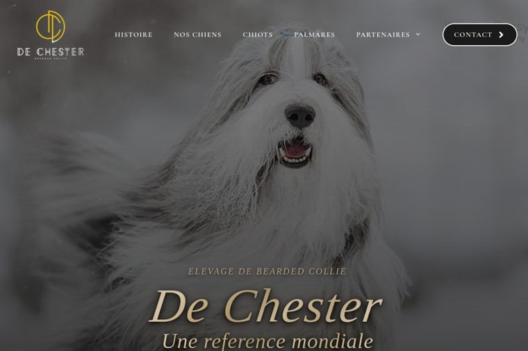 Site d’élevage de Bearded Collie : De Chester, par OWAG