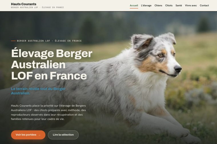 Site d’élevage de Berger Australien, modèle éditorial : Le grand format, par OWAG